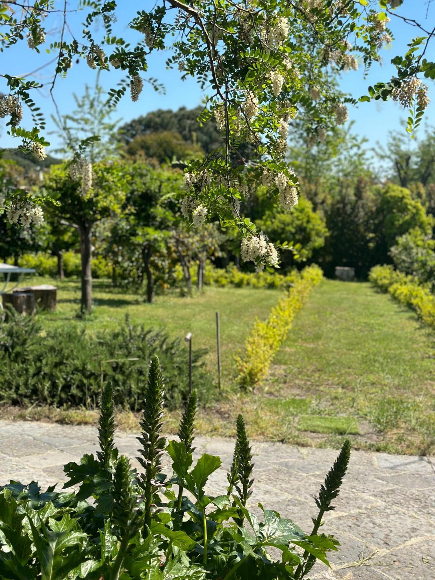 Villa De Cillis Carafa Τόρρε ντελ Γκρέκο Εξωτερικό φωτογραφία